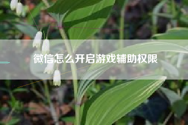 微信怎么开启游戏辅助权限