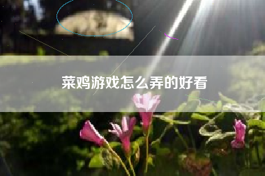 菜鸡游戏怎么弄的好看