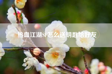 热血江湖SF怎么送钥匙给好友