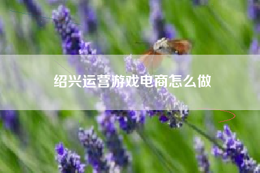 绍兴运营游戏电商怎么做