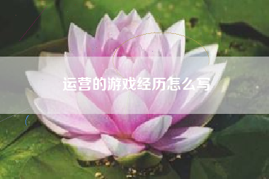 运营的游戏经历怎么写