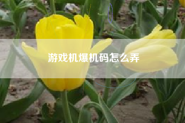 游戏机爆机码怎么弄