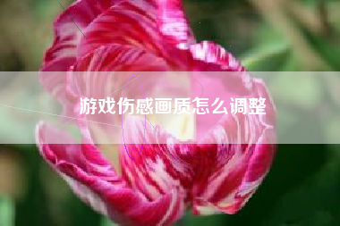 游戏伤感画质怎么调整