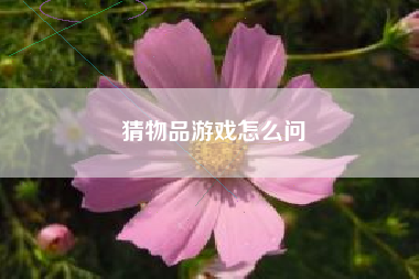 猜物品游戏怎么问