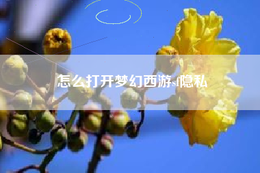 怎么打开梦幻西游sf隐私