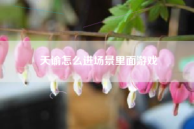 天谕怎么进场景里面游戏