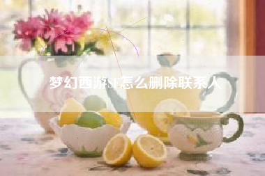 梦幻西游SF怎么删除联系人