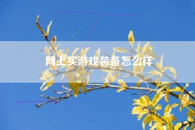 网上买游戏装备怎么样
