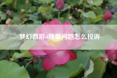 梦幻西游sf质量问题怎么投诉