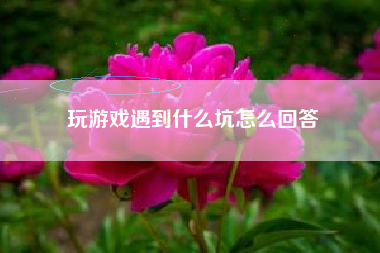 玩游戏遇到什么坑怎么回答