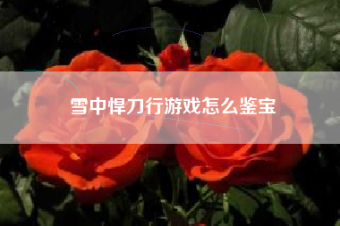 雪中悍刀行游戏怎么鉴宝