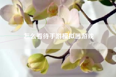 怎么看待手游模拟器游戏