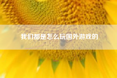 我们都是怎么玩国外游戏的