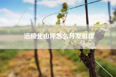 涪陵北山坪怎么开发游戏