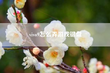 vivo9怎么弄游戏键盘
