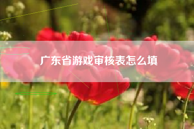 广东省游戏审核表怎么填