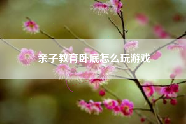 亲子教育卧底怎么玩游戏