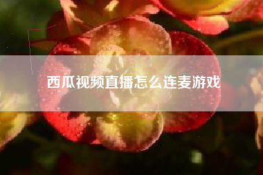 西瓜视频直播怎么连麦游戏
