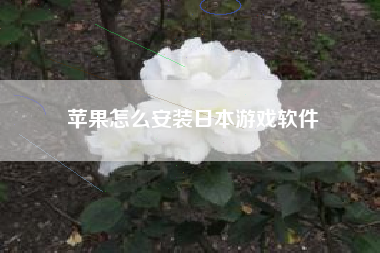 苹果怎么安装日本游戏软件