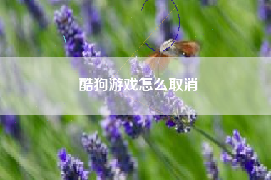 酷狗游戏怎么取消