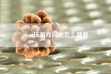 ipad玩游戏闪退怎么修复