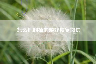 怎么把删掉的游戏恢复微信