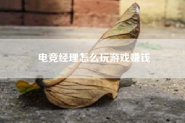 电竞经理怎么玩游戏赚钱