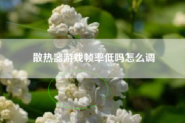 散热器游戏帧率低吗怎么调