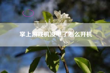 掌上游戏机没电了怎么开机