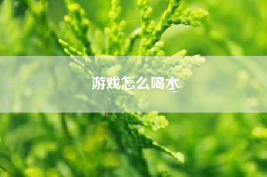 游戏怎么喝水