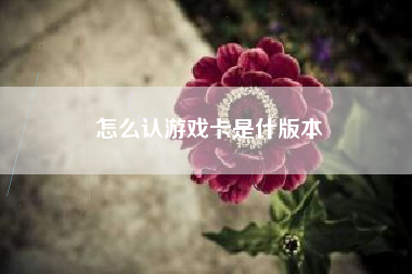 怎么认游戏卡是什版本
