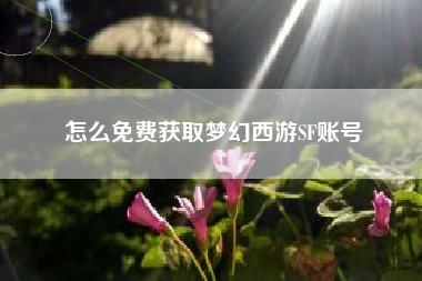 怎么免费获取梦幻西游SF账号