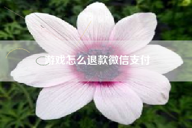 游戏怎么退款微信支付