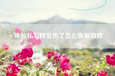 诛仙私发网受伤了怎么恢复游戏