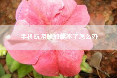 手机玩游戏加载不了怎么办