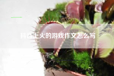 抖音上火的游戏作文怎么写