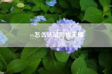 yy怎么认证游戏主播