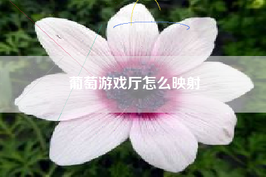 葡萄游戏厅怎么映射