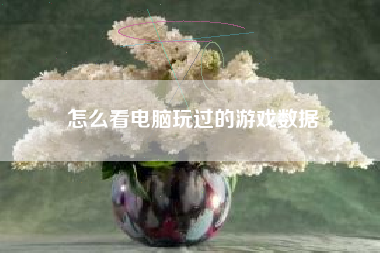 怎么看电脑玩过的游戏数据