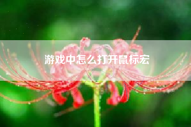 游戏中怎么打开鼠标宏