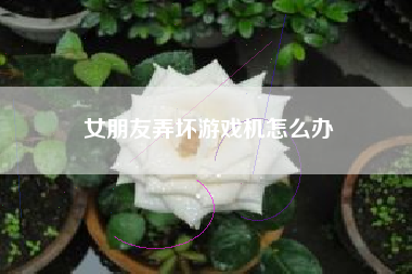 女朋友弄坏游戏机怎么办