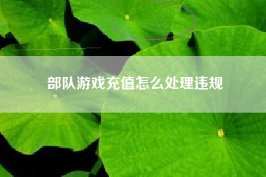 部队游戏充值怎么处理违规