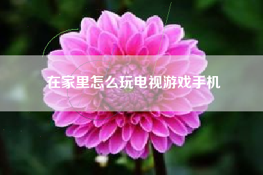在家里怎么玩电视游戏手机