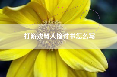 打游戏骂人检讨书怎么写
