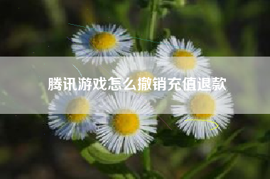 腾讯游戏怎么撤销充值退款