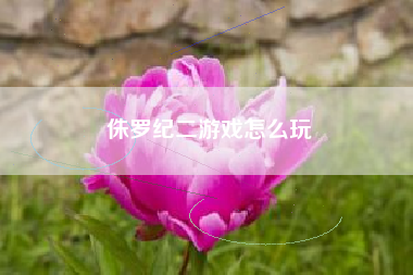 侏罗纪二游戏怎么玩