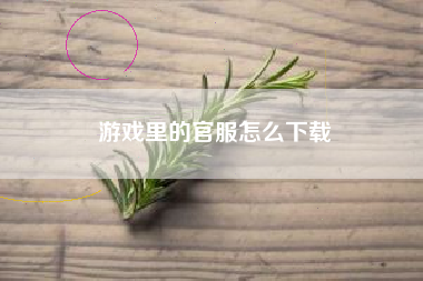 游戏里的官服怎么下载