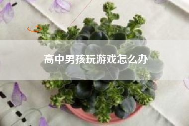高中男孩玩游戏怎么办