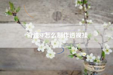 奇迹SF怎么制作透视挂