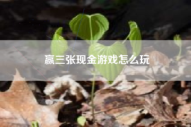 赢三张现金游戏怎么玩
